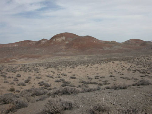 Nevada Vegetation Overview | ONE